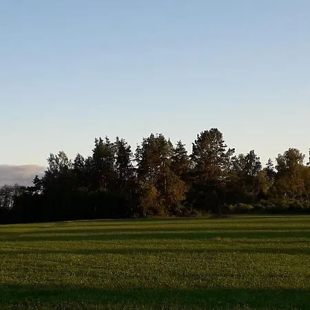 Rossu Metsamaja