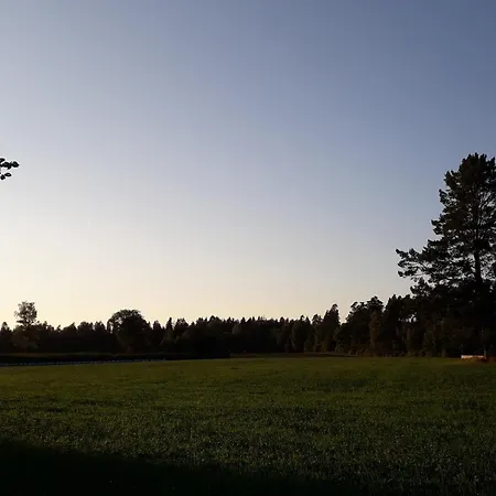 Campsite Rossu Metsamaja