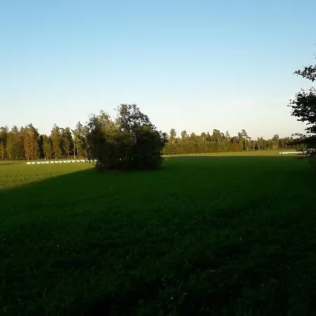 Campsite Rossu Metsamaja *