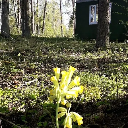 Campsite Rossu Metsamaja *