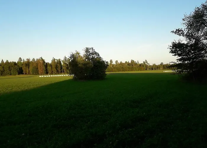 Campsite Rossu Metsamaja *