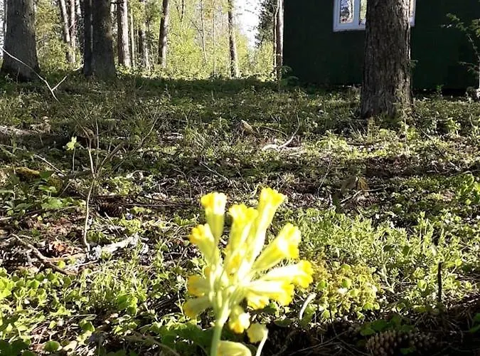 Campsite Rossu Metsamaja *