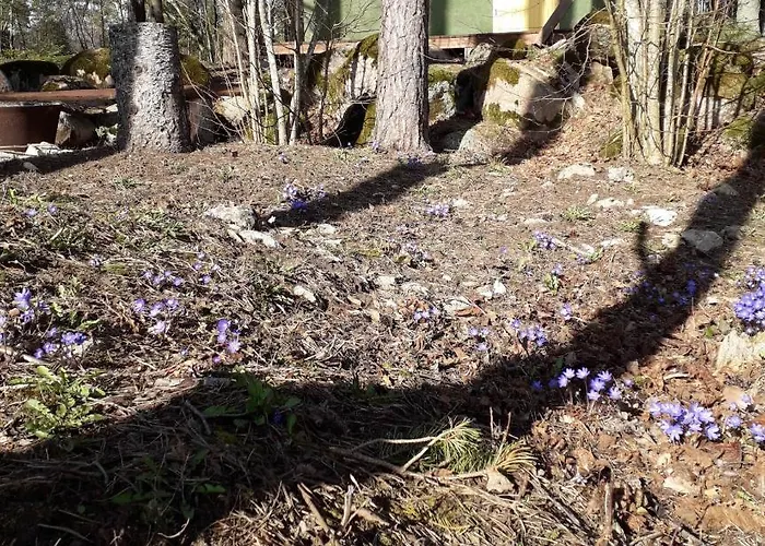 Rossu Metsamaja * Saksa